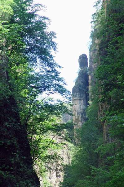 百里峽邊，白草畔巔；放松心情，迎接挑戰。